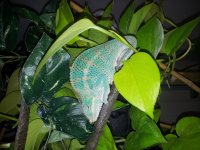 20120522_224415.jpg