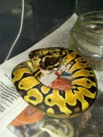 2012-08-01_20-44-37_941.jpg