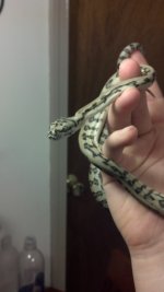 2012-04-23_20-35-21_372.jpg