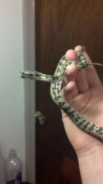 2012-04-23_20-35-23_669.jpg