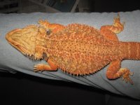 IMG_6568.JPG