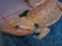 000_1634.jpg