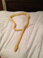 IMG_5059.jpg