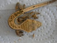 new pics 015.jpg