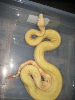 6-2-12 053.jpg