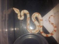 20120802_053940.jpg