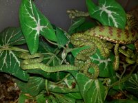 2012-07-18_21-34-33_533.jpg