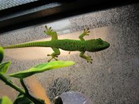 IMG_0297.jpg