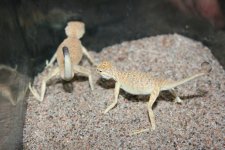 IMG_8142.jpg