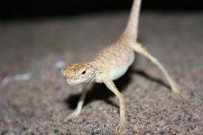 IMG_8168.jpg