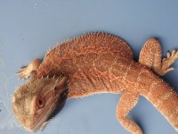 20120702_191532.jpg