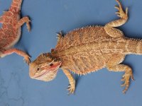20120702_193208.jpg