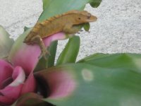 IMG_2676.jpg