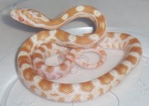 baby2-2.jpg