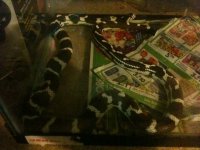 IMG_0591.jpg
