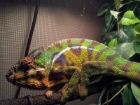 20120527_194717.jpg