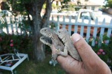 IMG_8029.jpg