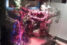 IMAG0672.jpg