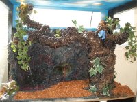DSCF5781.jpg