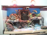 DSCF5795.jpg