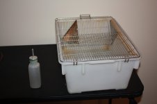 mice cage.JPG