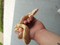 20120509_113507.jpg