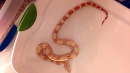 2012-03-27_22-21-56_198.jpg