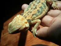 2012-06-16 08.53.49.jpg