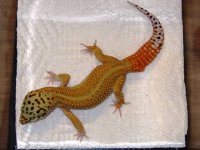 IMG_3564.JPG