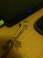 photo 2 (8).jpg