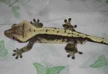 IMG_7693.jpg