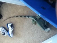 IMG_1715[2].jpg