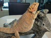 2012-05-29_13_50_36.jpg