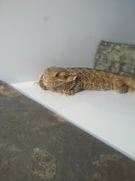 2012-03-03_21-42-25_359.jpg