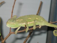 188_8890.JPG