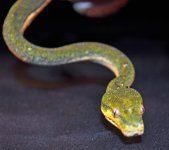 gtp3.jpg