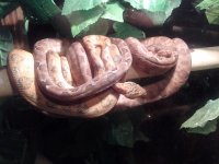 IMG_20120111_214957.jpg