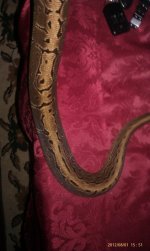 IMAG0553.jpg