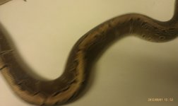 IMAG0557.jpg