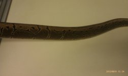 IMAG0558.jpg