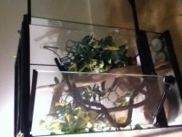 IMG_1465[1].jpg