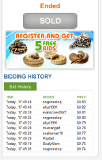 auction2.PNG