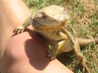 IMG_0645.jpg