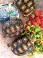 015.jpg