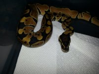 20120809_233219.jpg