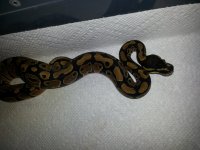 20120809_233104.jpg
