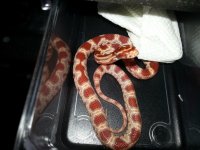 20120809_233351.jpg