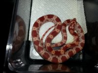20120809_233337.jpg