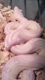2011-05-26_16-10-45_599.jpg