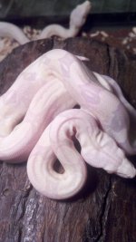 2011-06-01_21-09-37_281.jpg